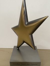 TTC Steinach gewinnt den “Großen Stern des Sports in Bronze 2022”
